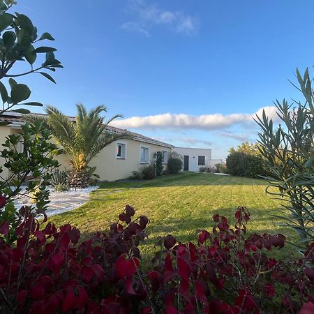 Merville  L Aparte D'Eliette En Pleine Nature A 10 Mn Du Meett, 15 Mn De L Aeroport מראה חיצוני תמונה